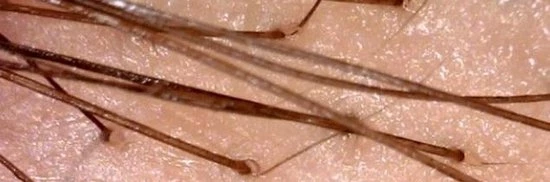 MobielCo Digitale Microscoop Met USB 50x Tot 1000x Met 8x LED Verlichting / Inclusief Standaard 7 MobielCo Digitale Microscoop Met USB 50x Tot 1000x Met 8x LED Verlichting / Inclusief Standaard - Image 5