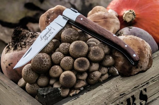 Laguiole Style De Vie Zakmes - In Giftbox - Rozenhout 9 Laguiole Style De Vie Zakmes - In Giftbox - Rozenhout - Image 7