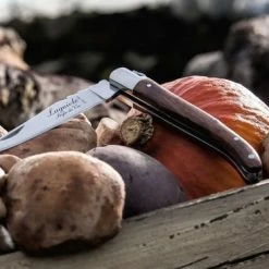 Laguiole Style De Vie Zakmes - In Giftbox - Rozenhout 28 Laguiole Style De Vie Zakmes - In Giftbox - Rozenhout -Alwero winkel 550x366 41