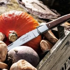 Laguiole Style De Vie Zakmes - In Giftbox - Rozenhout 31 Laguiole Style De Vie Zakmes - In Giftbox - Rozenhout -Alwero winkel 550x366 43